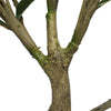 Faux Potted Magnolia Tree with Stunning White Flowers 130cm - Designer Vertical Gardens artificial vertical garden plants flowering