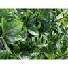 Green Meadows Artificial Vertical Garden / Fake Green Wall 1m x 1m UV Resistant - Designer Vertical Gardens artificial garden wall plants artificial green wall australia