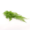 Hanging Fresh Green Boston Fern UV Resistant 80cm - Designer Vertical Gardens fake plant stem hanging garland