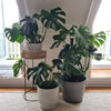 Imitation Stone Grey Pot 40cm - Designer Vertical Gardens Pots