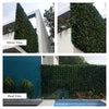 Lemon Leaf Artificial Hedge Panel / Fake Vertical Garden 1m x 1m UV Resistant - Designer Vertical Gardens artificial garden wall plants artificial green wall australia