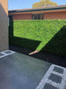 Mixed Ivy Artificial Hedge Fence Panels / Fake Vertical Garden 1m x 1m UV Resistant - Designer Vertical Gardens artificial garden wall plants artificial green wall australia
