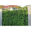 Mixed Ivy Artificial Hedge Fence Panels / Fake Vertical Garden 1m x 1m UV Resistant - Designer Vertical Gardens artificial garden wall plants artificial green wall australia
