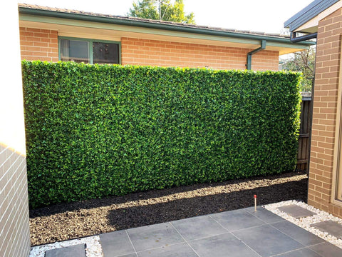 Mixed Ivy Artificial Hedge Fence Panels / Fake Vertical Garden 1m x 1m UV Resistant - Designer Vertical Gardens artificial garden wall plants artificial green wall australia