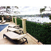 Mixed Ivy Artificial Hedge Fence Panels / Fake Vertical Garden 1m x 1m UV Resistant - Designer Vertical Gardens artificial garden wall plants artificial green wall australia
