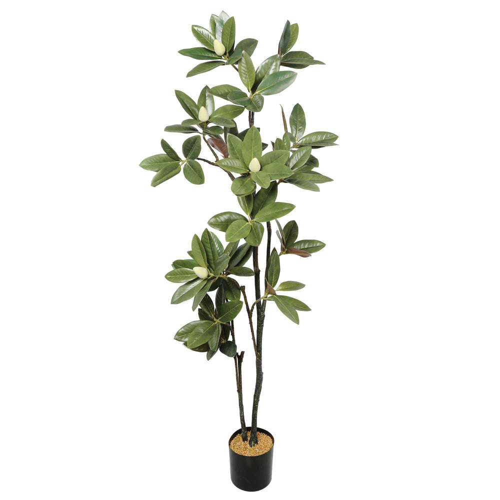 Potted Artificial Magnolia Tree 180cm - Designer Vertical Gardens Artificial Ficus artificial green wall sydney