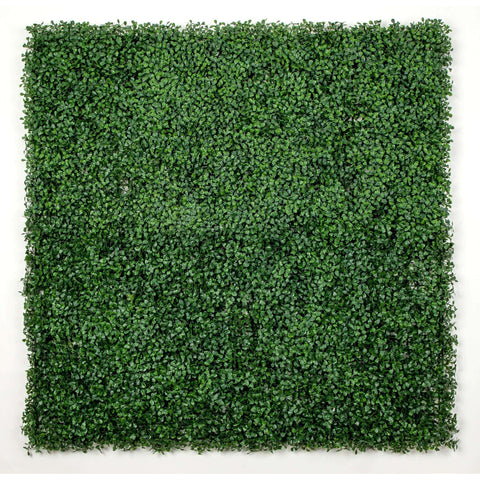 Sample - Boxwood Artificial Hedge Panel (25cm x 25cm) - Designer Vertical Gardens artificial garden wall plants artificial green wall australia