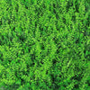 Sample - Dense Fern Artificial Vertical Garden (25cm x 25cm) - Designer Vertical Gardens artificial garden wall plants artificial green wall australia