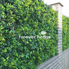 Spring Sensation Hedge Sample