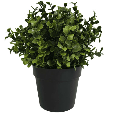 Small Potted Artificial Buxus Plant UV Resistant 20cm - Designer Vertical Gardens flowering indoor artificial wall garden