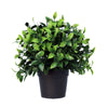 Small Potted Artificial Jasmine Plant UV Resistant 20cm - Designer Vertical Gardens Artificial Shrubs and Small plants indoor artificial wall garden