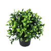 Small Potted Artificial Jasmine Plant UV Resistant 20cm - Designer Vertical Gardens Artificial Shrubs and Small plants indoor artificial wall garden