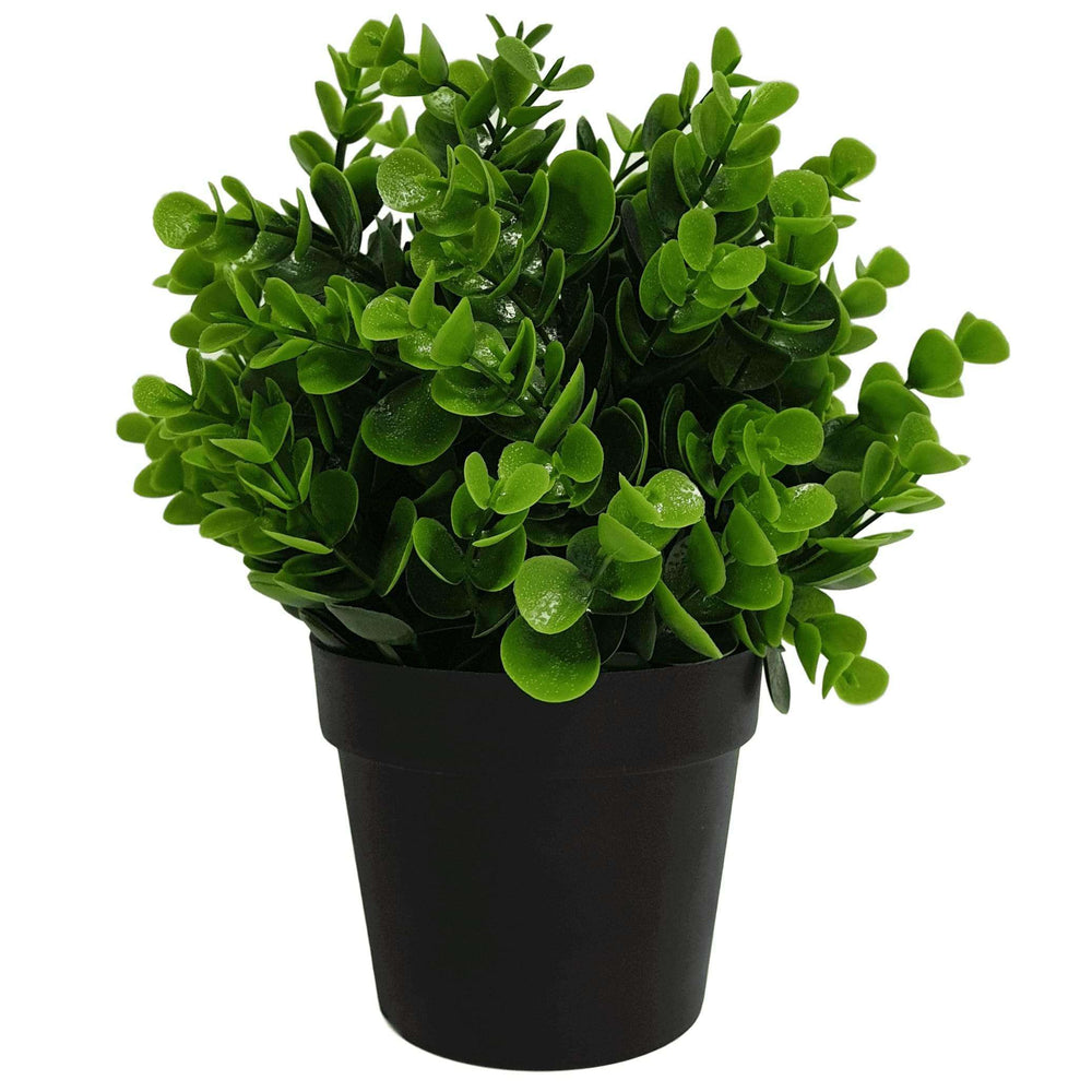 Small Potted Artificial Peperomia Plant UV Resistant 20cm - Designer Vertical Gardens flowering green wall artificial plants