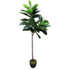 Tall Artificial Fiddle Leaf Fig 170cm - Designer Vertical Gardens artificial garden wall plants artificial green wall australia