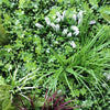 Vista Green Artificial Vertical Garden / Fake Green Wall 100cm x 100cm UV Resistant - Designer Vertical Gardens artificial garden wall plants artificial green wall australia